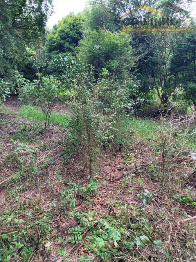 WhatsApp Image 2022-01-07 at 13.42.13 (1).jpeg